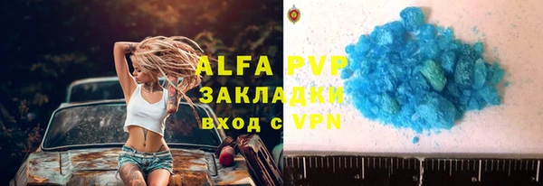 ГАЛЛЮЦИНОГЕННЫЕ ГРИБЫ Инта