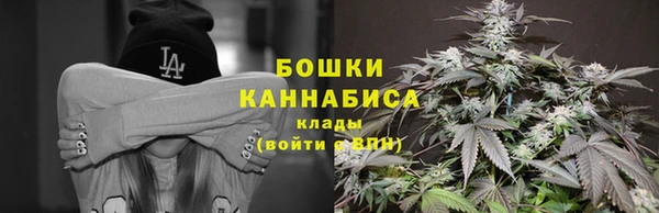 не бодяженный Арсеньев