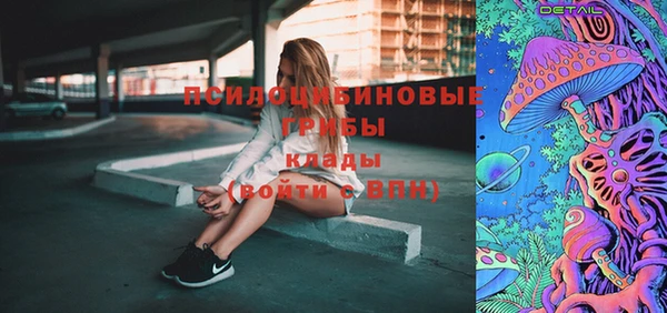 сатива Аркадак