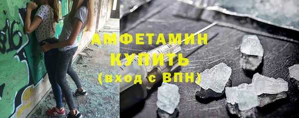 сатива Аркадак
