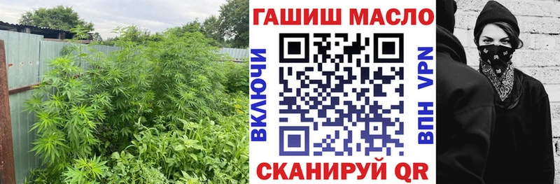 Дистиллят ТГК Wax Мценск